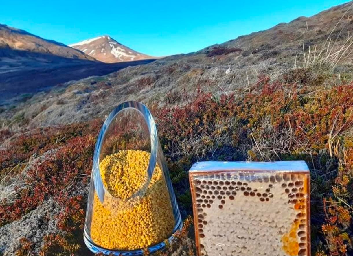 Bee pollen and honeycomb in the mountains